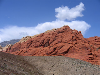 red rock canyon #7