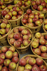 apple bushels