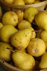 bartlett pears