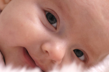 baby