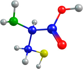 the 3d-rendered colorified molecule of cysteine