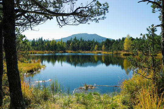 am tiefsee