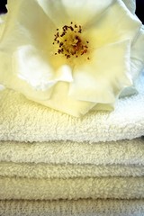 Obraz na płótnie Canvas kwiat na białe ręczniki