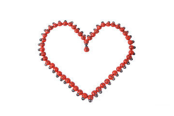 herz aus marienkäfern