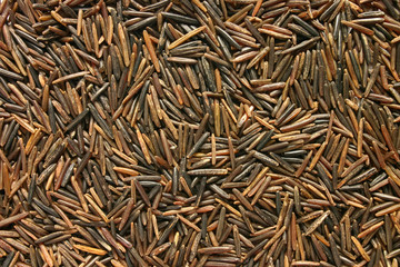 californian wild rice.  makes a good dark backgrou