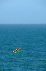kite in sea breeze