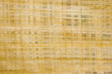 Fototapeta premium old papyrus background texture from egypt