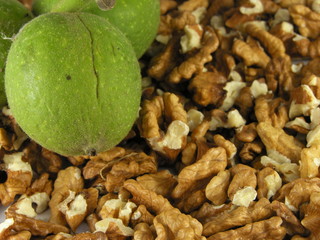 nuts