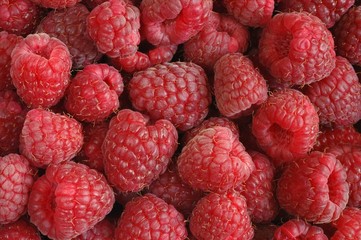 raspberries