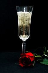 champagne and red rose - 1479477