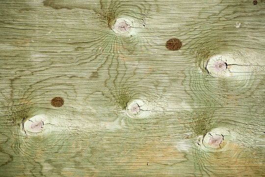 Grunge Background Of Green Stained Plywood