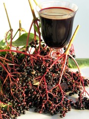 elder berries and elder wine