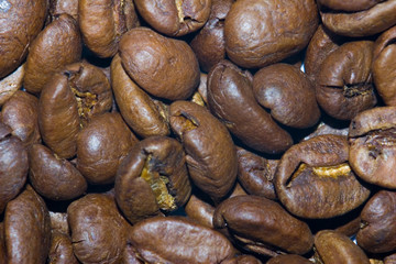coffee macro