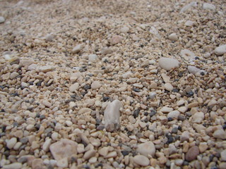 beach sand detail