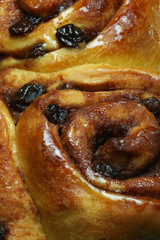 cinnamon buns with raisins