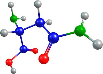 the 3d-rendered colorified molecule of asparagine