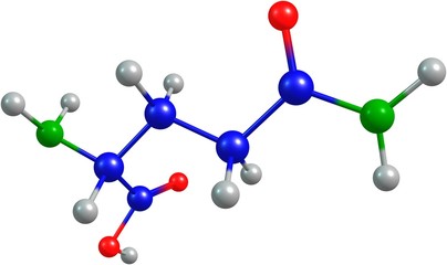 the 3d-rendered colorified molecule of glutamine