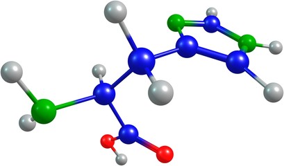 the 3d-rendered colorified molecule of histidine