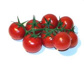 tomaten