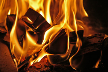 flammen #0050