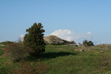 hill and cloud