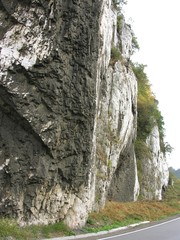 limestone jurassic rocks