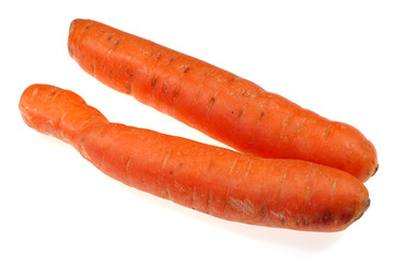 carrot #2