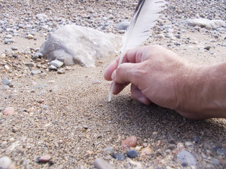 the bird's feather in a hand