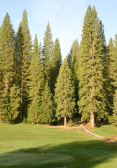 mountain links