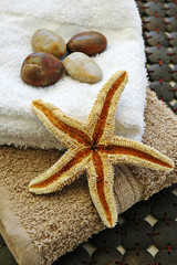 starfish