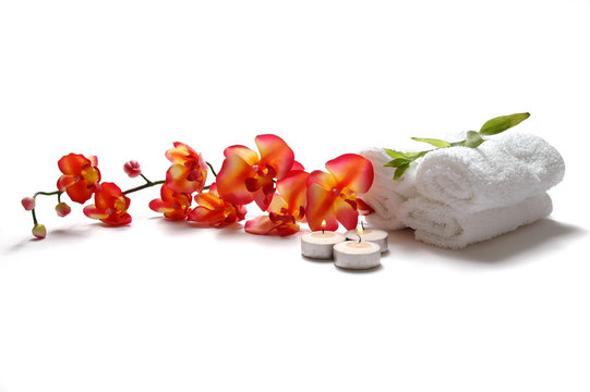 Fototapeta orchid
