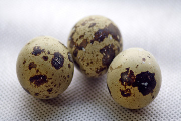 quail eggs (1)