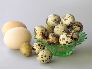 Obraz premium eggs