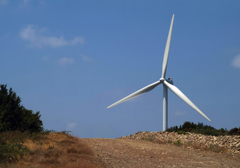 wind mill