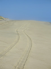 tracks in the sand