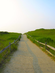 sandy path to the beach3