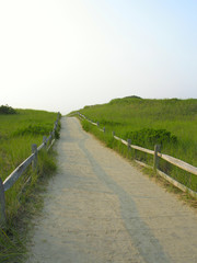sandy path to the beach2