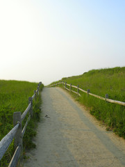 Fototapeta na wymiar sandy path to the beach