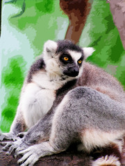 lemur