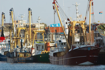 Fototapeta premium fishing ships