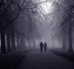 young couple walking through avenue of trees in de