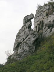 Fototapeta na wymiar jurassic limestone rocks