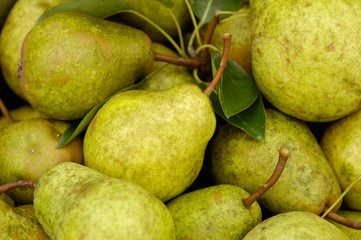 organic pears