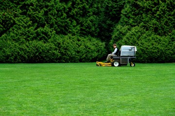 park maintenance