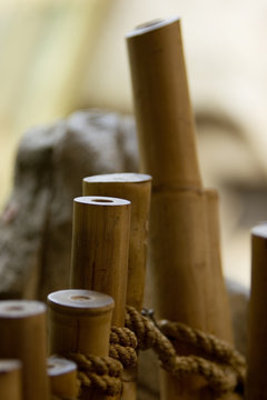 bamboo tops up close