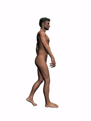 Naklejka premium anatomy of the man walking 4.