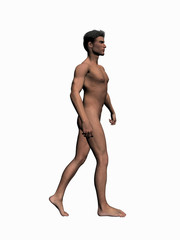 anatomy of the man walking 2.