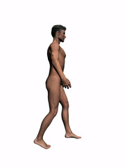 Naklejka premium anatomy of the man walking 1.