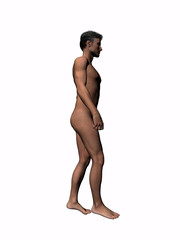 Naklejka premium anatomy of the man walking 5.