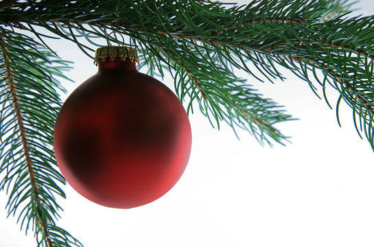 christmas ball on tree